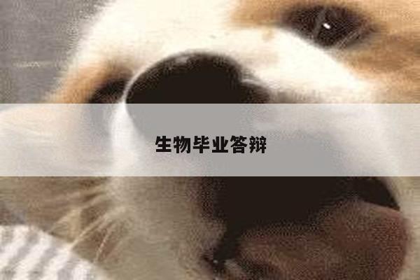 生物毕业答辩
