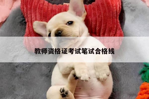 教师资格证考试笔试合格线