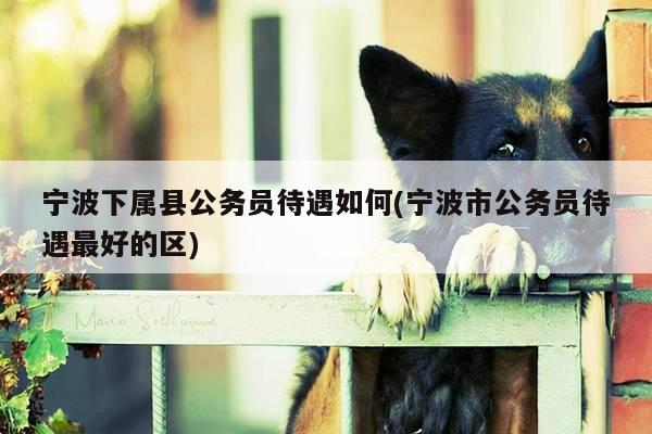 宁波下属县公务员待遇如何(宁波市公务员待遇最好的区)