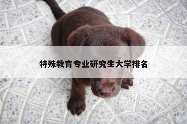特殊教育专业研究生大学排名
