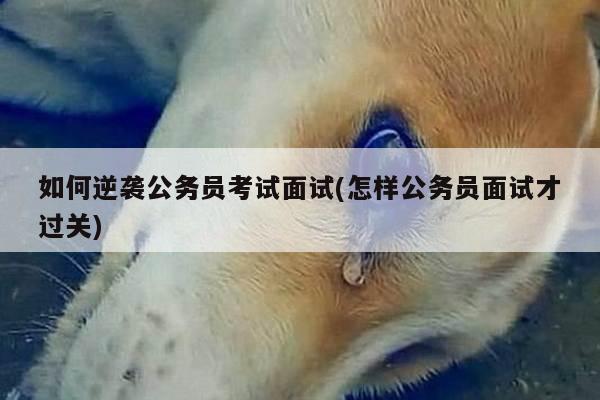 如何逆袭公务员考试面试(怎样公务员面试才过关)