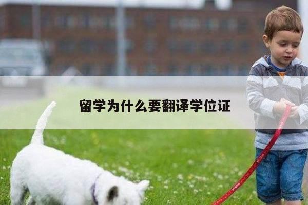 留学为什么要翻译学位证