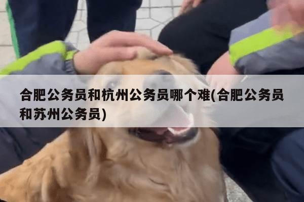 合肥公务员和杭州公务员哪个难(合肥公务员和苏州公务员)