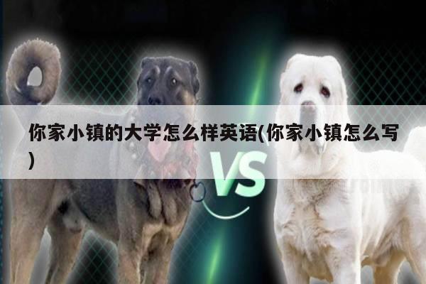 你家小镇的大学怎么样英语(你家小镇怎么写)