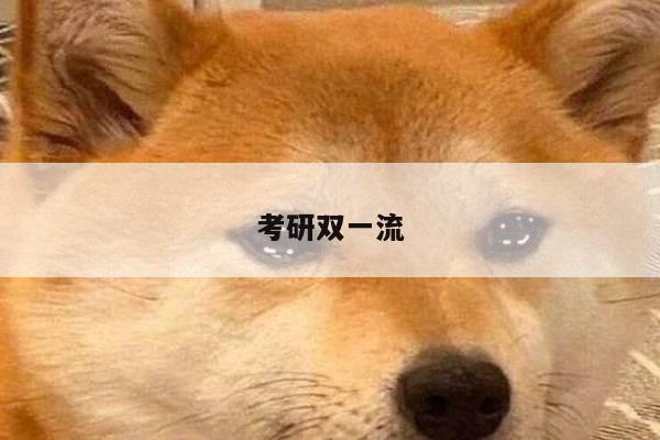 考研双一流