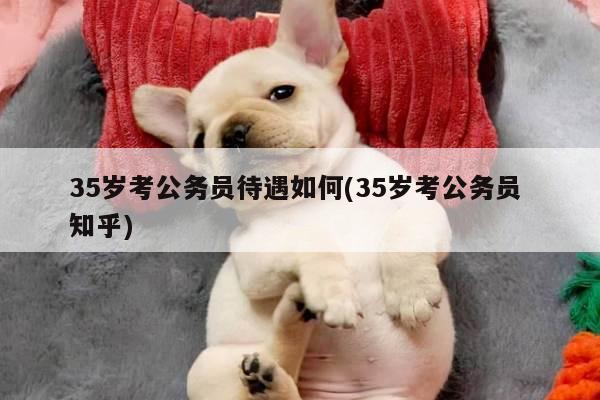 35岁考公务员待遇如何(35岁考公务员 知乎)