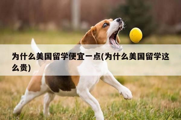 为什么美国留学便宜一点(为什么美国留学这么贵)