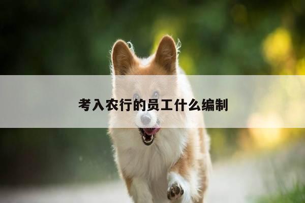 考入农行的员工什么编制