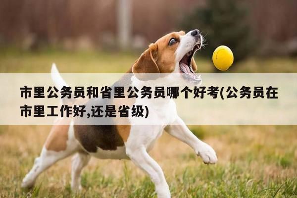 市里公务员和省里公务员哪个好考(公务员在市里工作好,还是省级)