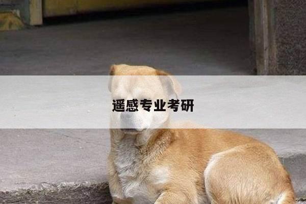 遥感专业考研
