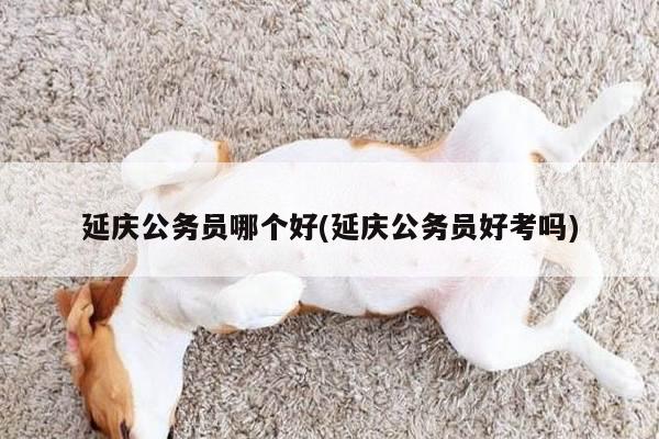 延庆公务员哪个好(延庆公务员好考吗)