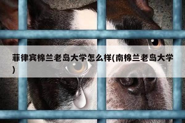 菲律宾棉兰老岛大学怎么样(南棉兰老岛大学)