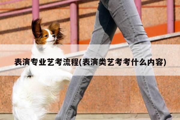 表演专业艺考流程(表演类艺考考什么内容)