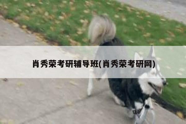 肖秀荣考研辅导班(肖秀荣考研网)