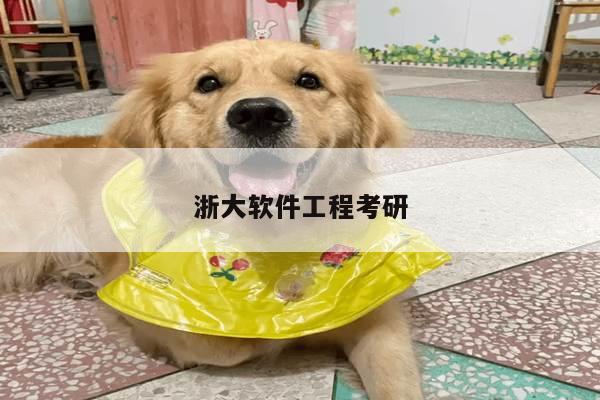 浙大软件工程考研