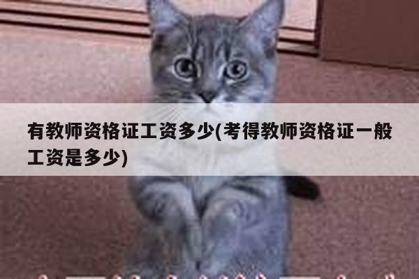 有教师资格证工资多少(考得教师资格证一般工资是多少)