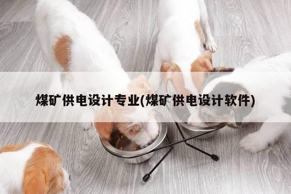 煤矿供电设计专业(煤矿供电设计软件)