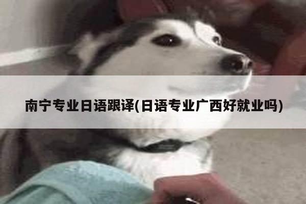 南宁专业日语跟译(日语专业广西好就业吗)