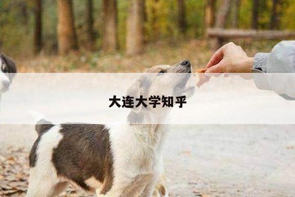 大连大学知乎