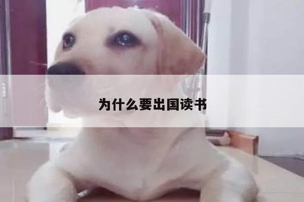 为什么要出国读书