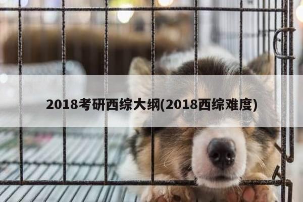 2018考研西综大纲(2018西综难度)