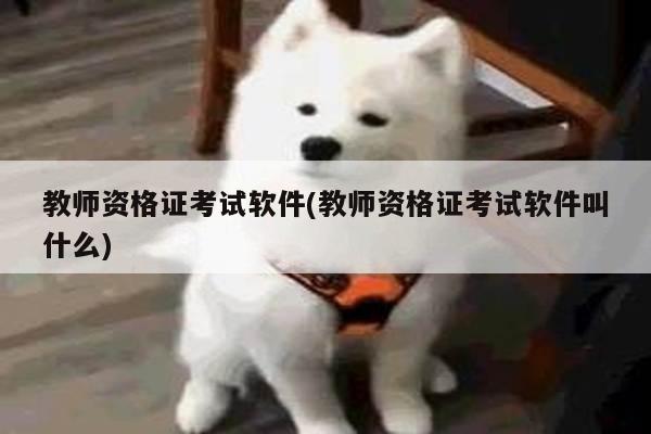 教师资格证考试软件(教师资格证考试软件叫什么)