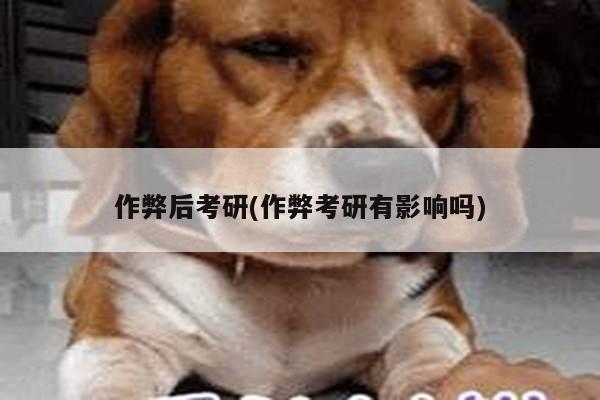 作弊后考研(作弊考研有影响吗)
