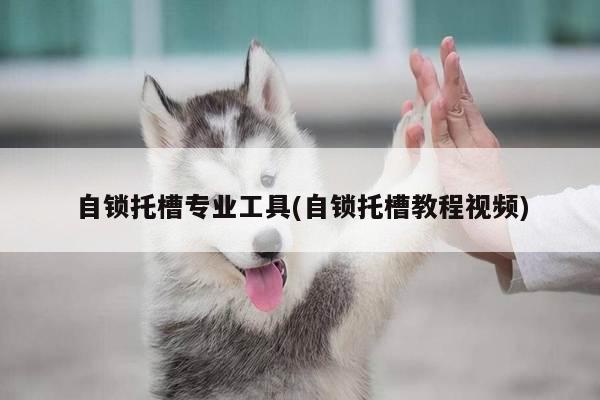 自锁托槽专业工具(自锁托槽教程视频)