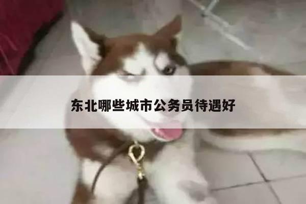 东北哪些城市公务员待遇好