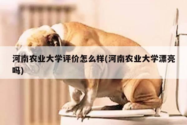 河南农业大学评价怎么样(河南农业大学漂亮吗)