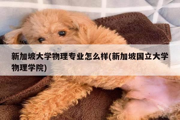 新加坡大学物理专业怎么样(新加坡国立大学物理学院)