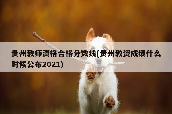 贵州教师资格合格分数线(贵州教资成绩什么时候公布2021)