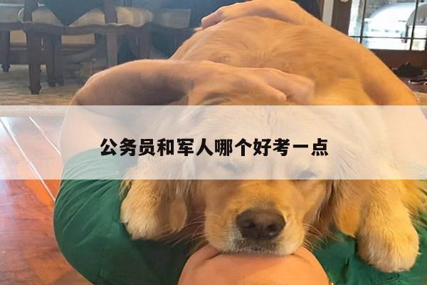 公务员和军人哪个好考一点