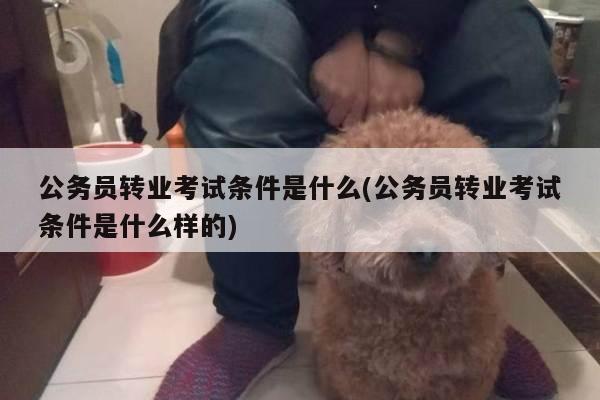 公务员转业考试条件是什么(公务员转业考试条件是什么样的)