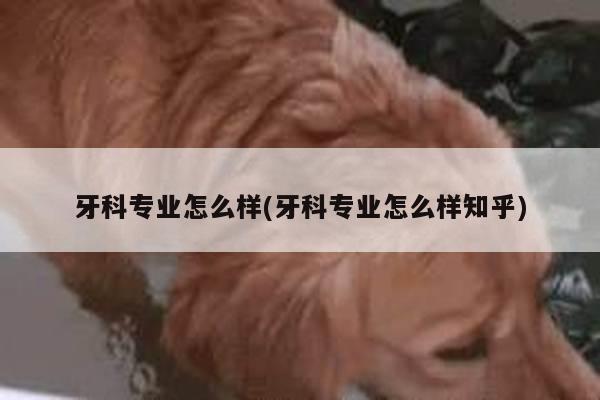 牙科专业怎么样(牙科专业怎么样知乎)