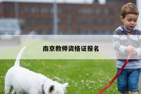 南京教师资格证报名