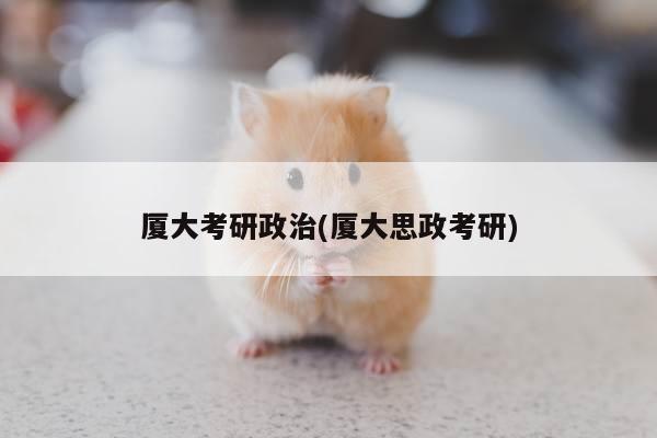 厦大考研政治(厦大思政考研)