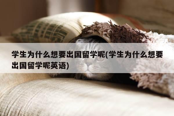 学生为什么想要出国留学呢(学生为什么想要出国留学呢英语)