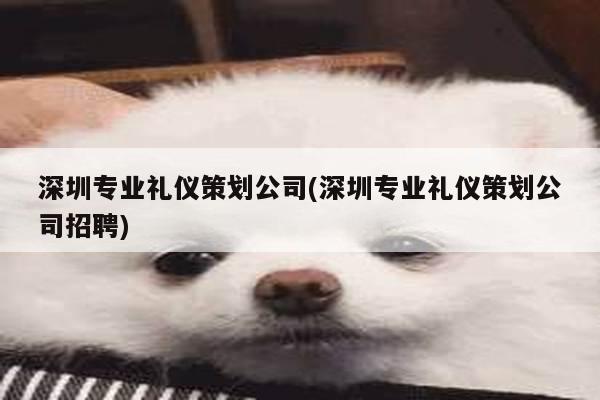 深圳专业礼仪策划公司(深圳专业礼仪策划公司招聘)