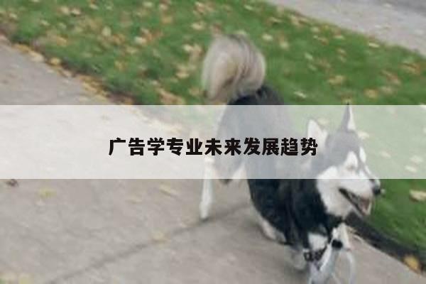 广告学专业未来发展趋势