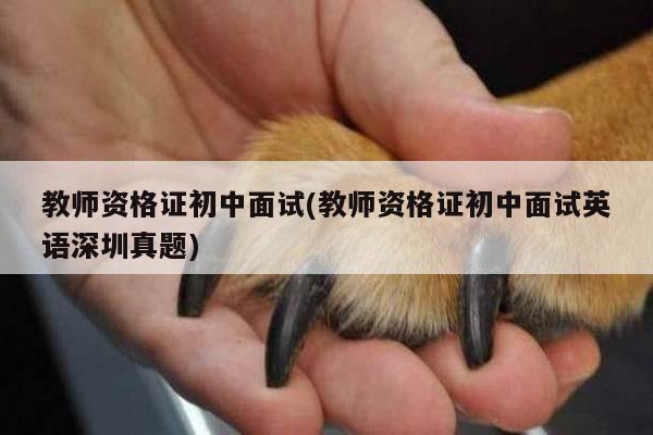 教师资格证初中面试(教师资格证初中面试英语深圳真题)
