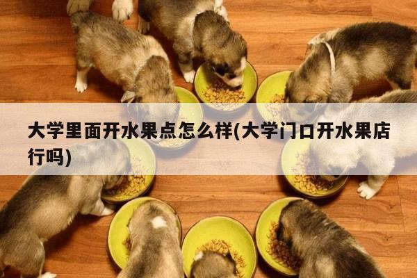 大学里面开水果点怎么样(大学门口开水果店行吗)