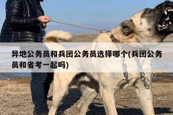 异地公务员和兵团公务员选择哪个(兵团公务员和省考一起吗)