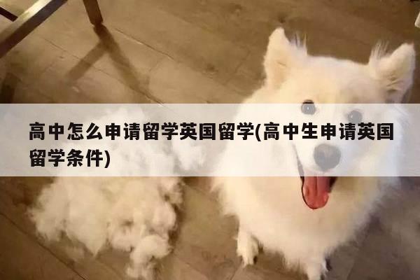 高中怎么申请留学英国留学(高中生申请英国留学条件)