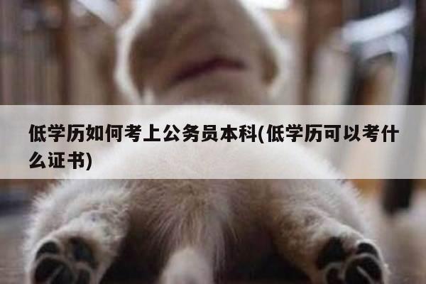 低学历如何考上公务员本科(低学历可以考什么证书)