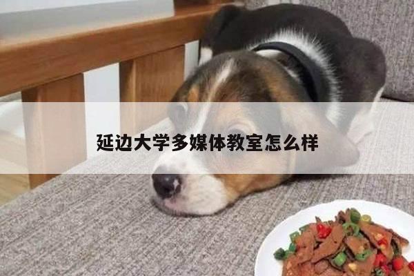 延边大学多媒体教室怎么样