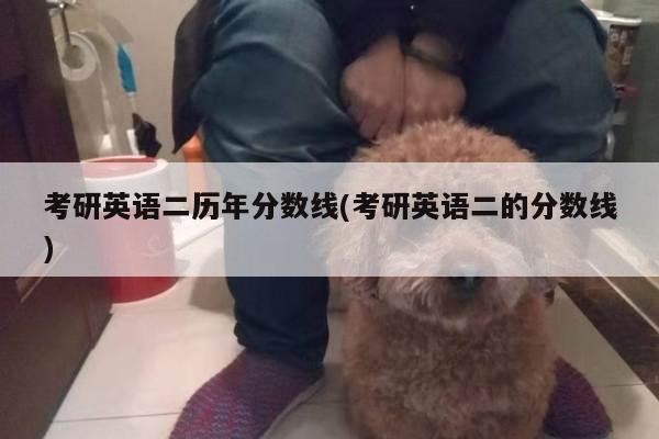 考研英语二历年分数线(考研英语二的分数线)