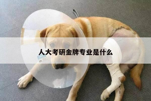 人大考研金牌专业是什么