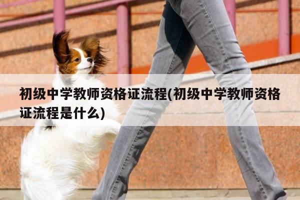 初级中学教师资格证流程(初级中学教师资格证流程是什么)