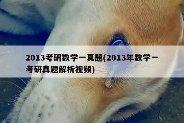 2013考研数学一真题(2013年数学一考研真题解析视频)